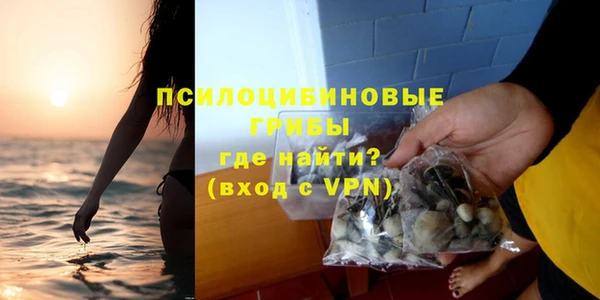 дурь Нея